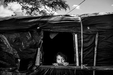 A young boy looks out the window of his family's makeshift hut in the Ipiranga campsite. About 70 families live there at any given time.  Ipiranga is a squatter's camp for landlesss workers in Pernamb...