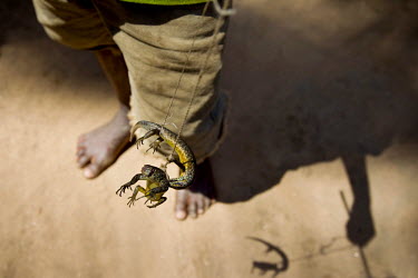 A young boy carries a pair of lizards he has hunted and tied with string.