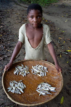 A boy holds a tray of small fish that he caught in the nearby Congo River.