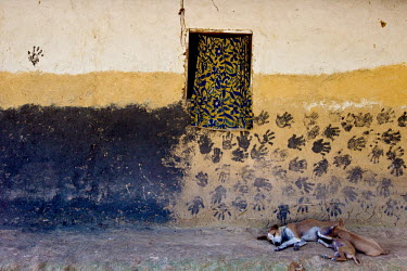 Two dogs sleep beside a building decorated with hand prints near the Lomami, a tributary of the Congo River.