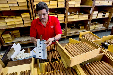 A worker packing cigars at the Partagas factory measures the diameter of the product to ensure their conformity.