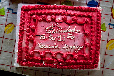 A cake made for Yessenia Aguayo's qiunceanera (a girl's 15th birthday). It is often thought that a quinceanera is a way for a girl's parents to show possible suitors their girl is now a woman.
