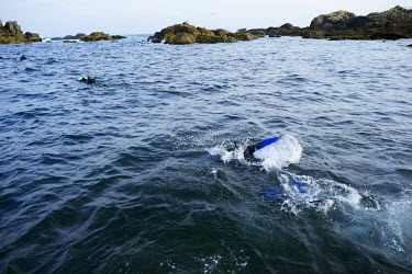 Roberto Mahia swims to a rock where he will harvest percebes (Goose barnacles) on the La Coruna coastline. Percebes, considered a luxury seafood item, grow on the rocks of these storm battered norther...