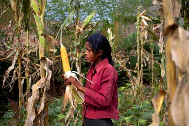 18 year old Rose Razanajaona peels a maize cob in a field in her village of Ambohimahatsinjo. She says: 'There is a difference between girls and boys at my age, men are stronger than me as a girl, but...