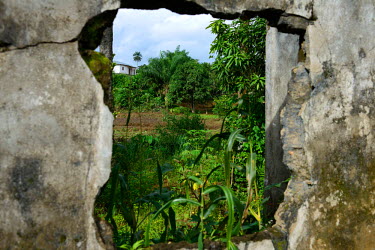 A view through a broken wall of a house destroyed during the civil war in Kailahun, eastern Sierra Leone. The town has recorded cases of Ebola and Medecins sans Frontieres (MSF) have set up a field ho...