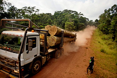 A large truck carrying several logs from tropical hardwood trees drives along a laterite road.