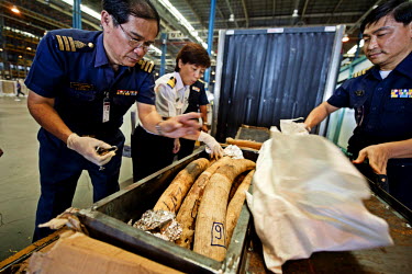 Customs officials in Bangkok's Suvarnabhumi airport uncover a shipment of African elephant tusks from Mozambique.