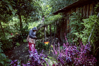 Dini Korul in her garden among the flowers that bloom there. After her son Bobby died of a stomach infection in 2011 she was accused of causing the death with witchcraft by friends of the dead man. Th...
