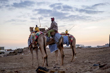 A man with his camels and robot jockeys, whips raised at the ready.