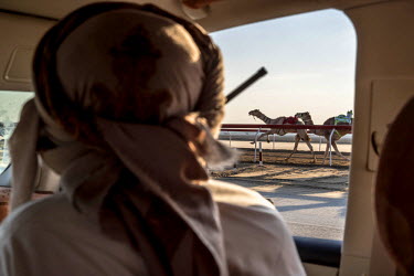 Racing camel owners follow the animals in their SUVs. A radio receiver is placed in the front pocket of the robot jockey and the owner shouts commands to the machine as the race progresses.