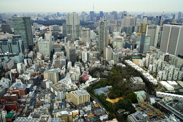 A view over Tokyo with the Hikawa Shrine at the bottom right.