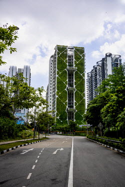 The Tree House serviced apartments set a Guinness World Record as the world's largest vertical garden. The building's green wall measures 24 storeys tall and is expected to save more than $500,000 in...