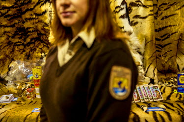 A female agent from the U.S. Fish & Wildlife Service stands in front of tiger parts, including teeth, fur, and others - which have been seized by US Customs.