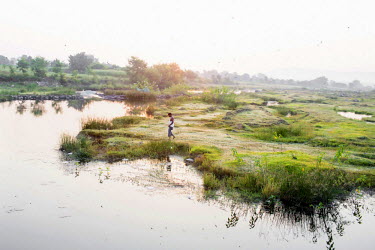 A man walks near a pond in the Panna Tiger Reserve in Madhya Pradesh.