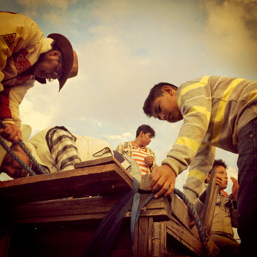 Cowboys stand on top of a truck loaded up with bulls, transported from Mocha, during the fiestas of Tumbaco.