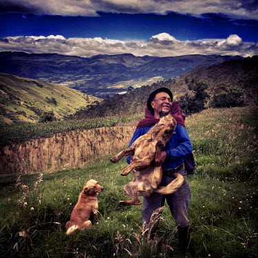 A man out collecting rabbit food on Ilalo, an extinct volcano, plays with his dogs.