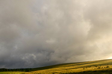Rain clouds spread across Dartmoor National Park.