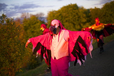 A reveller wearing a bird mask and pink 'wings' dances around Carlton Hill in Edinburgh with other participants at the Beltane Fire Festival. The Beltane Festival is an annual event when winter is pur...