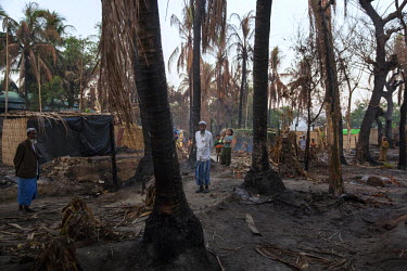 Rohingya villagers walk amongst the remains of burned homes and trees in Du Chee Yar Tan village near Muangdaw in Rakhine state. Villagers claim, and human rights groups reported, that a massacre took...