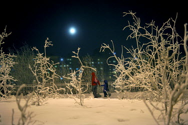 Local walk through a park with snow covered shrubs at night in Norilsk. The city is covered in snow for around 8 to 9 months a year. Each year around 10 tonnes of snow fall on the city for each inhabi...