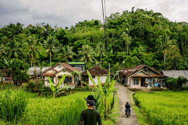 Rice paddy and buildings in the village of Sinar Resmi, located inside Gunung Halimun Salak National Park.