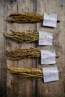 A small selection of the various varieties of rice that is farmed locally.