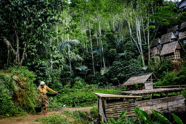 A woman walks home after washing her laundry. The small huts that populate the hillside are rice barns and in the foreground are bathrooms made of bamboo.