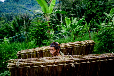 A farmer carrying hand made banana leaf coverings that are used to construct the top of roofs in the village.