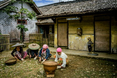 Women of the village weeding the grounds outside the Imah Gede. Dfferent families are assigned different duties and these are passed on from generation to generation. The jobs may vary from owning and...