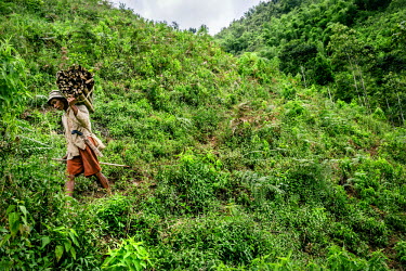 A farmer carries firewood from the forest back to the village.