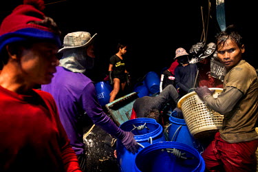 Cambodian migrant fisherman pack fish and ice into barrels on a Thai flagged fishing boat working in Thai waters.