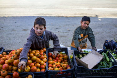 Talal Louai, 11, (left) and Anas Ezza, 12, sort vegetables at a grocer's store in Bebnine. Talal is from Homs (Syria) and was smuggled by car to Lebanon in May 2013 with his family, they live in a ten...