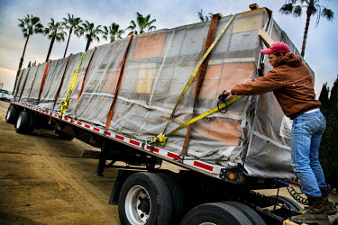 A truck carrying about 450 bee hives arrives at an almond orchard. The bee hives will be dispersed among the almond trees at night and in the early moring when be bees are less active and stay in thei...