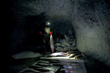 Fish, caught in the Pyasino River, are stored in a cave carved out of the permafrost and used as a natural freezer by hunters. The cave was excavated during the Soviet era using machines from the mini...