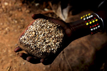Crushed plants seeds used as traditional medicine by a Turkana family.