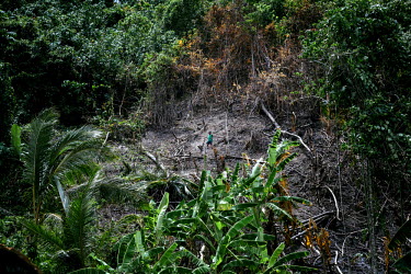 A woman stands in an area of her hillside garden that was destroyed by a land slide. Illegal logging is claimed to be one of the causes of landslides that can damage agricultural land and roads.