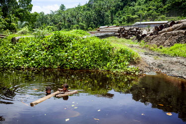 Two children swim in a mangrove swamp beside a site where a logging company loads timber on to barges for transport to offshore transport ships. Residents claim that oil spills and leaks from machines...