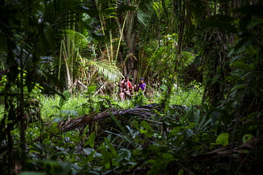People in the forest near Koptui village, one of many in Turubu area where it is claimed a Malaysian logging company has made an illegal land grab in order to access the timber.
