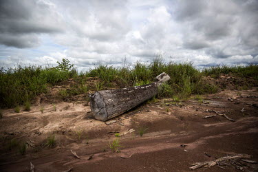 A tree trunk lies by the side of the road in the Trin logging area. Some of the rejected logs are burned by the logging company but others are just left by the side of the road. Most of the demand for...
