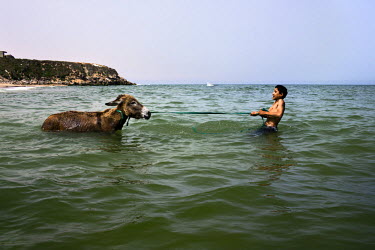 A young man pulls his reluctant donkey into the sea next to his home on the outskirts of the Deir al-Balah Refugee camp.