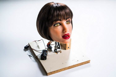 Sky is a protoype of an animatronic robotic head designed for oral sex by Matt McMullen. Matt McMullen, the creator of the Real Doll, is trying to combine different technologies to make a sex robot. T...