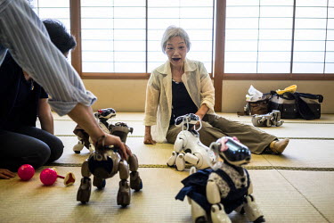 Michiko Sakurai plays with her AIBO at an AIBO gatheting outside of Tokyo. In 1999, Sony released a series of robotic pets called AIBO or Artificial Intelligence Robot. In 2006, they discontinued the...