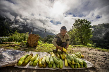 A young farmer sells fresh produce by the side of the road. One side effect of the increasing urbanisation of Bhutanese young people is that they are becoming disconnected from natur. To counter this,...