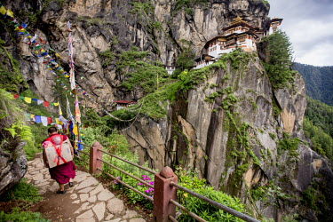 A monk makes the steep climb up to Taktsang Monastery with supplies tied to his back.