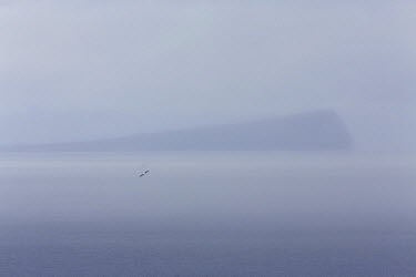 The headland of the isle of Noss is obscured by mist off Shetland.