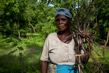 Dorothy Shawa, 51, collects fire wood in Khulubvi Camp which was set up following devasting floods in early 2015 that affected half of Malawi and forced around 250,000 people from their homes.