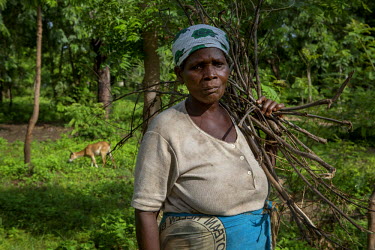 Dorothy Shawa, 51, collects fire wood in Khulubvi Camp which was set up following devasting floods in early 2015 that affected half of Malawi and forced around 250,000 people from their homes.