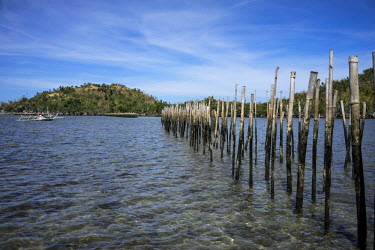 The bamboo breakwaters on the island of Igbon in the Philippines. They were built in response to Typhoon Haiyan  Typhoon Haiyan, or Yolanda as it is known in the Philippines, made landfall on 8 Novemb...