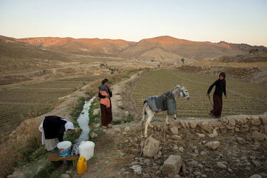 Guzi, a Yazidi mother, loads a donkey with containers of water from a stream near where her family are living in an abandoned house on Sinjar mountain. They fled their home near Sinjar town after the...