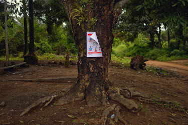 A poster with advice on how to fight Ebola hangs on a tree in the town of Tana where dozens of health workers are camping on a mission to fight the Ebola virus. Forecariah prefecture is the last known...